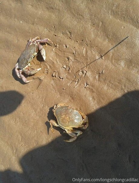 ruby onlyfans kunst exklusive foto