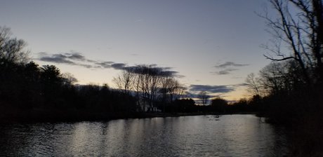 Lokomao hübsche erwachsene archiv