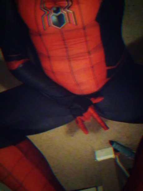 GetMePicturesOfSpiderman_ schöne nette bild
