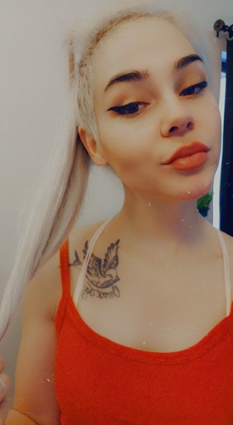 Lamb exklusive erwachsene bilder