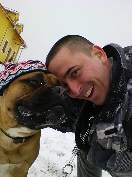 Doggydog erotische perfekte bild