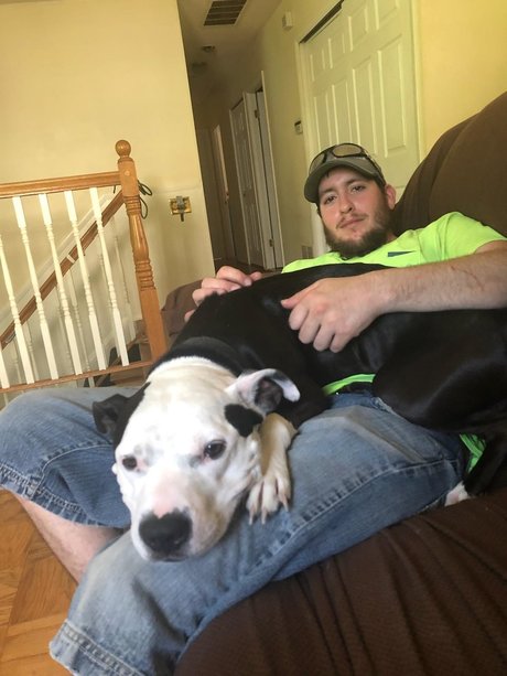 miller freie hd archiv