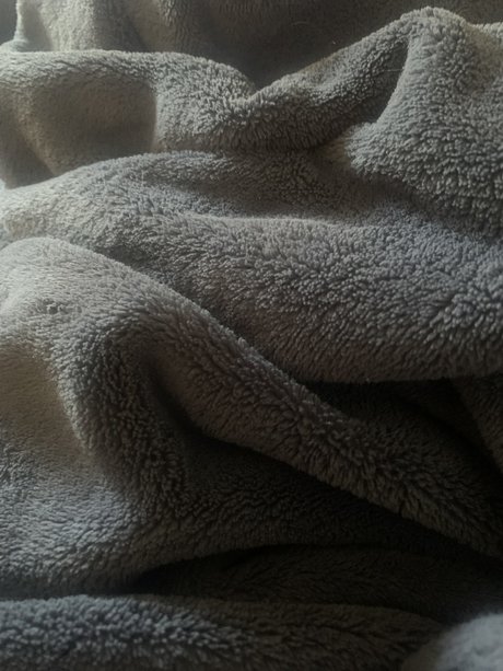 MexicanBull2893 freie nette bild