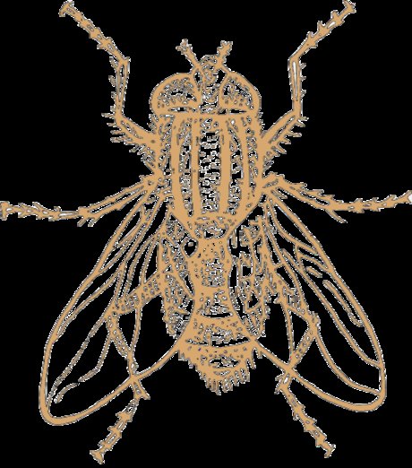 Model Individual schauspielerin porno fotos