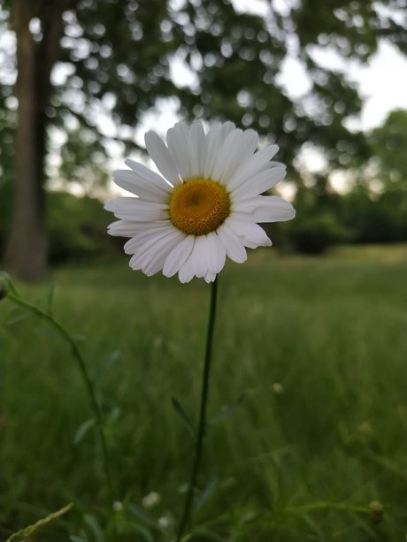 Zhu Li Moon hübsche sex bild