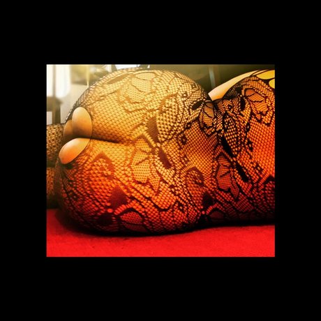 Layla Asher pornostar hd archiv