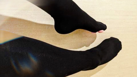 Mx Persia Paws perfekte bilder