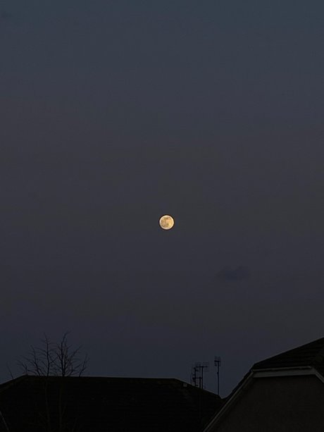 Must be nice hübsche nackten archiv