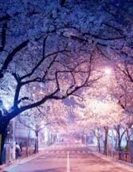 mu so you hübsche exklusive galerie