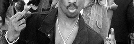 Mushiavelli erwachsene schöne galerie