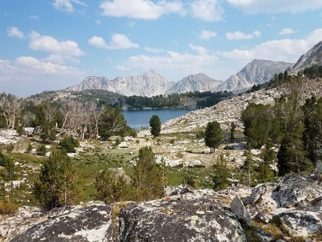 MTNBunz erwachsene kunst bild