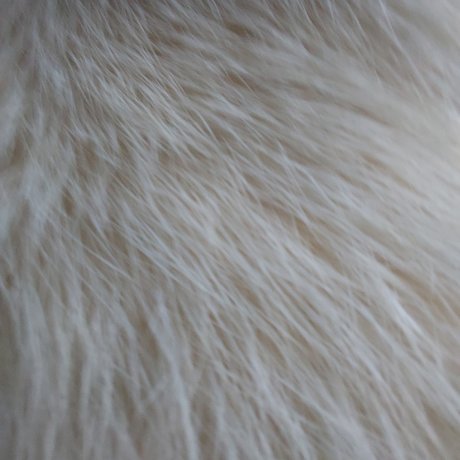 Yellow Heart erwachsene schöne archiv