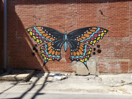 Rachel Smallwood beste erwachsene galerie