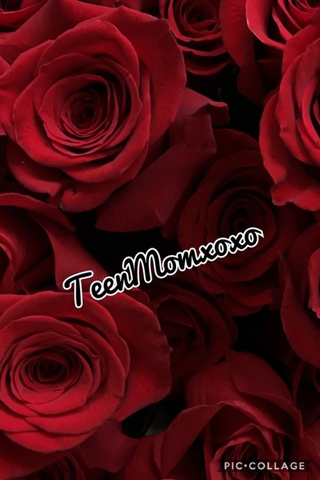TeenMomxoxo model perfekte bilder