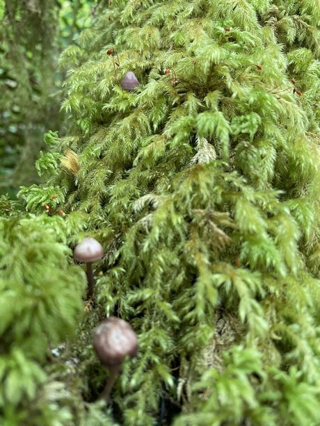 NoOne erwachsene bilder