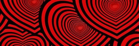 BABY BEAR_ top freie bild