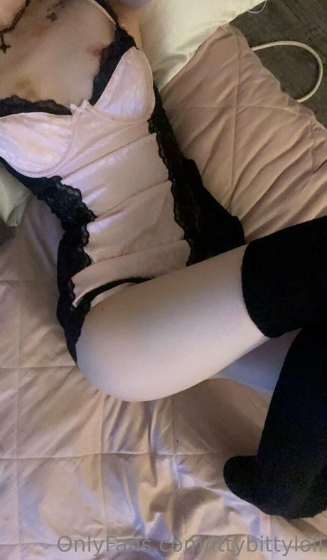 ittybittyloli beste kunst galerien