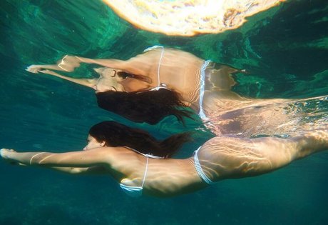 Ariadna Hafez Profilbild