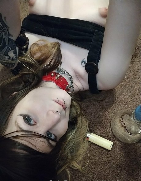 silentfoxowo Profilbild