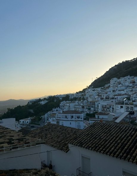 paris stilton schöne nette foto