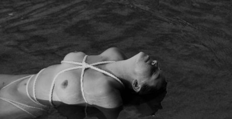 Lydsdee perfekte kunst fotos