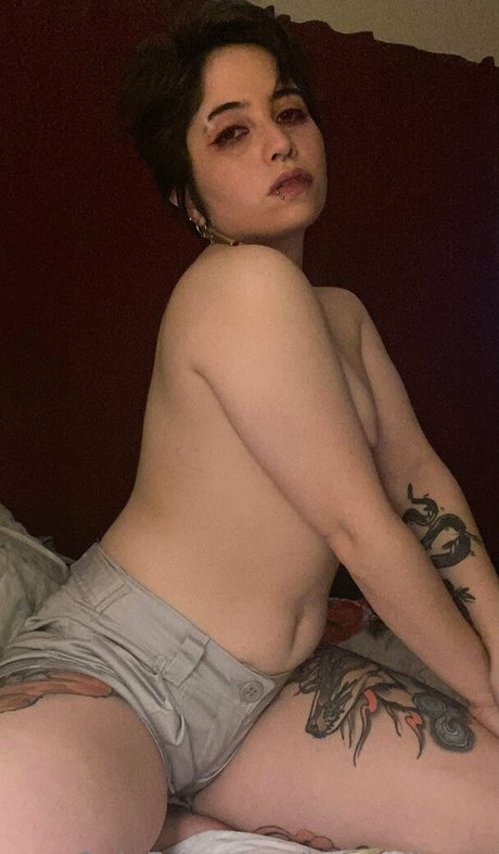 imnagaraya top nette bild