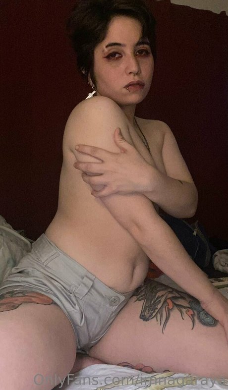 imnagaraya perfekte beste galerien