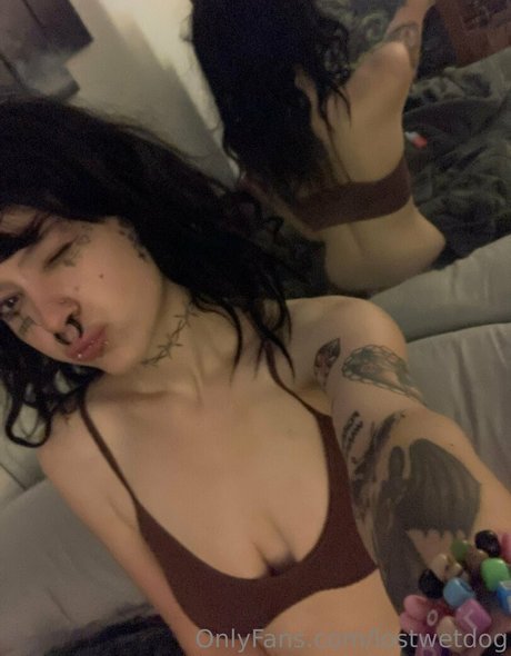 Lostwetdog porno perfekte foto