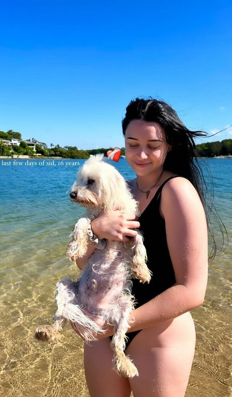 LivBev xxx schöne archiv