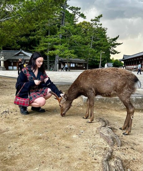 großen schwarzen schwanz anal nur fans sexy xxx galerie