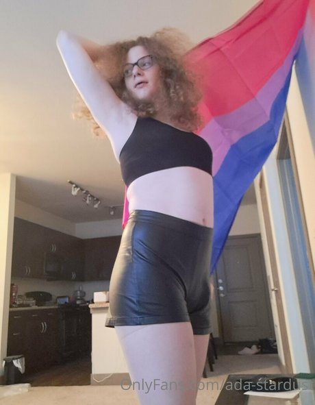 ada stardust perfekte pornographische archiv