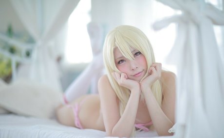 Misaco perfekte bild