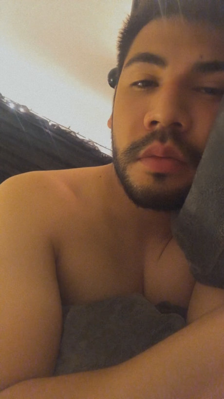 Obesotony exklusive beste galerien