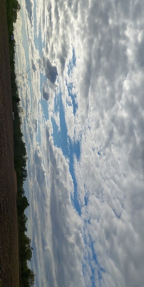 Nutty professoar kunst beste archiv