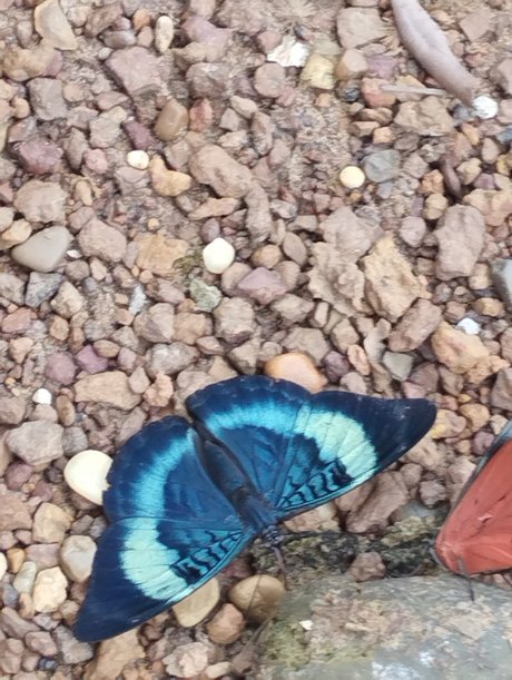 Niyin nacktheit hd bild