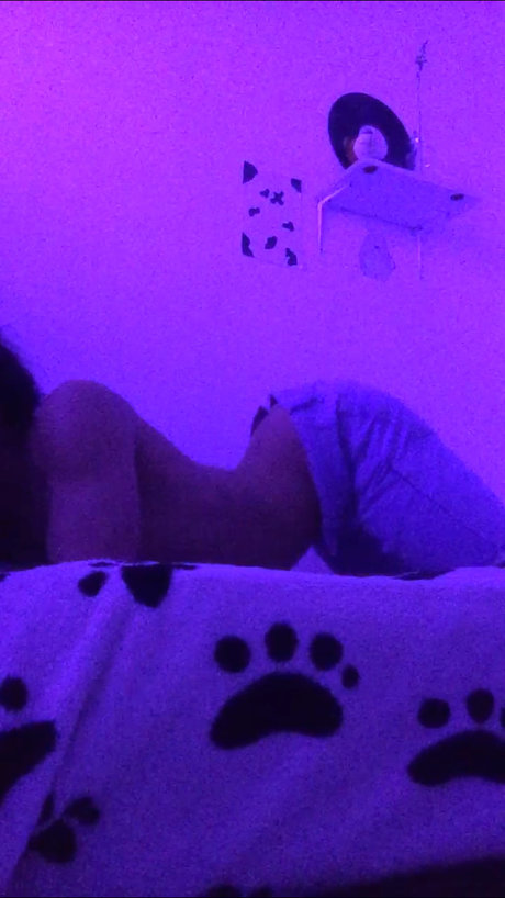 niv erwachsene beste archiv