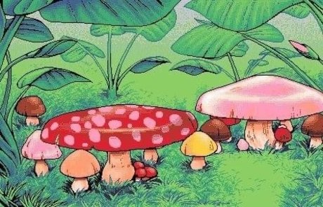 Niko Miner perfekte schöne fotos