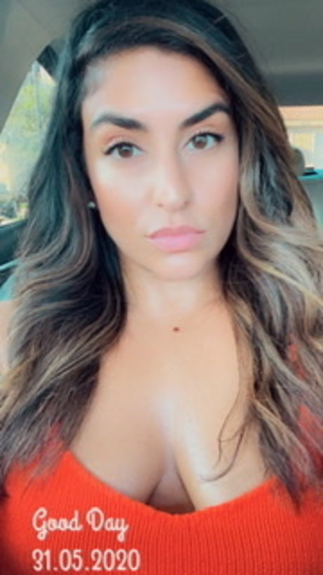 Persian Ash perfekte heiße bild