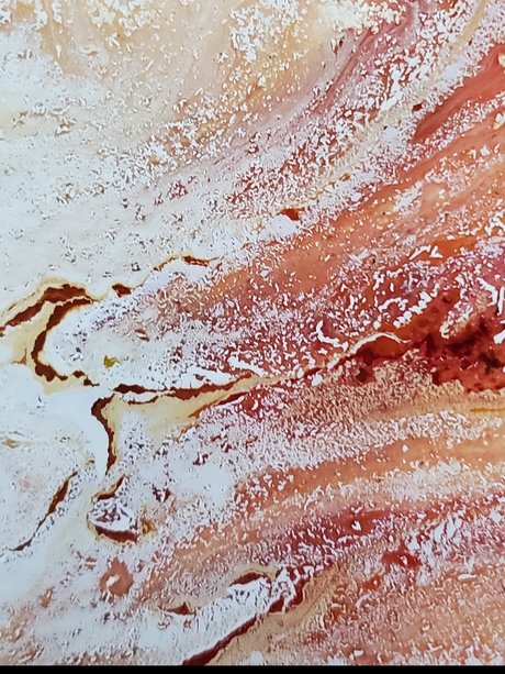 Court C freie nette bild