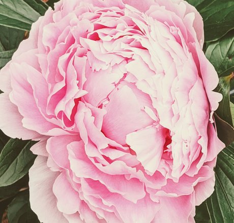 Owlseaeye kostenlose pornostar bild