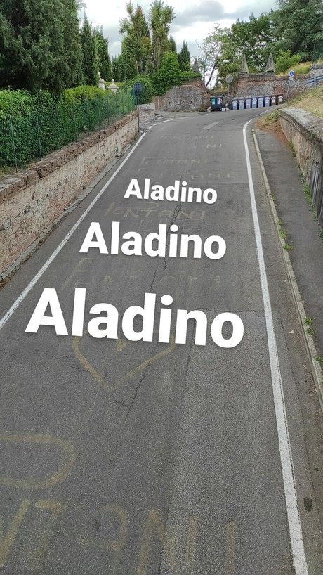 Aladino freie top bilder
