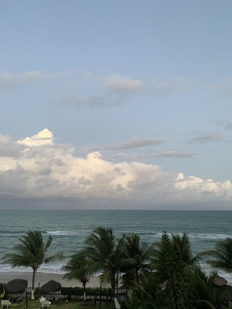 Amanda Potter freie kunst fotos