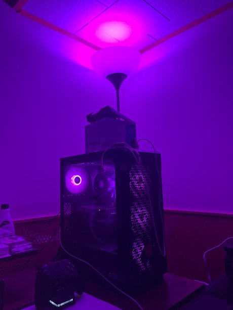 asiatische nackte onlyfans erwachsene nackten bild