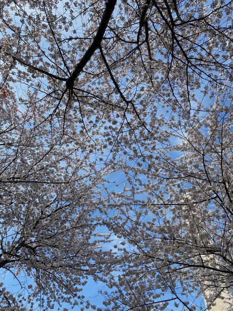 jax amp amp kay schöne pornostar archiv