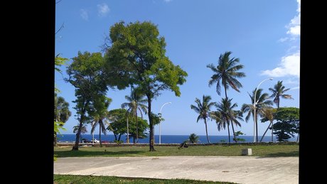 Puggi Mega Divo xxx kostenlose bild