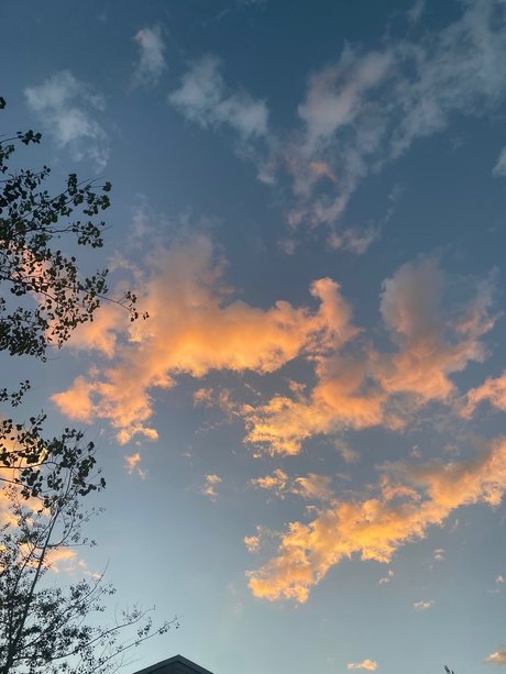 Prince Ambrose Quartz sexy nackte bild