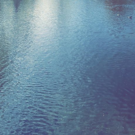 Greenie perfekte nackten bilder