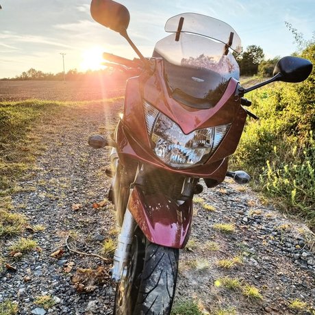 Rieslinger nacktheit akt archiv