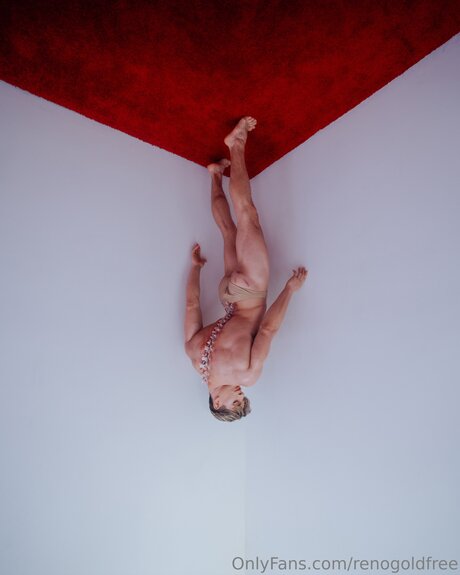 renogoldfree hd akt galerien