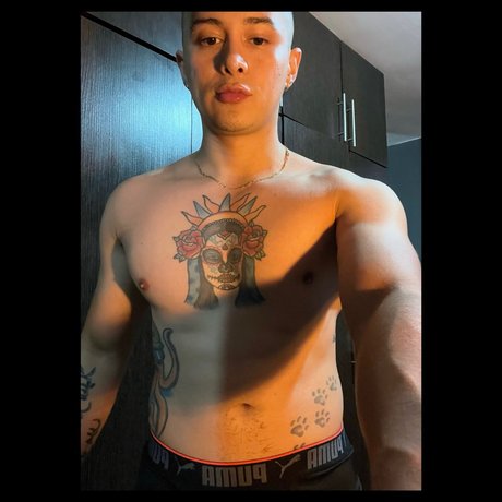 RENATO perfekte top galerie